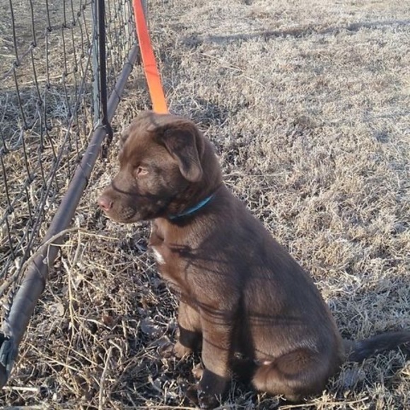 Meet your Posher, Riyli - Picture 1 of 1